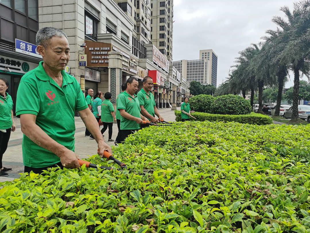 菲律宾网赌合法平台国庆节前绿化养护工作