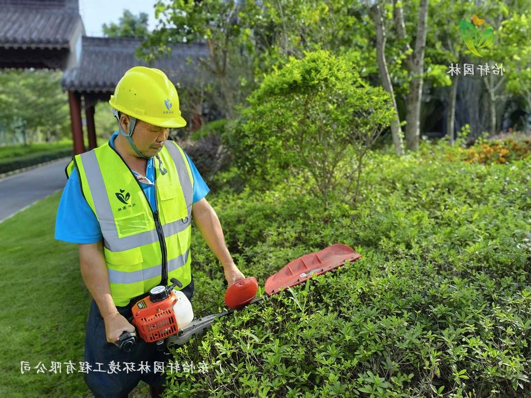 惠州绿色动力厂区日常养护工作