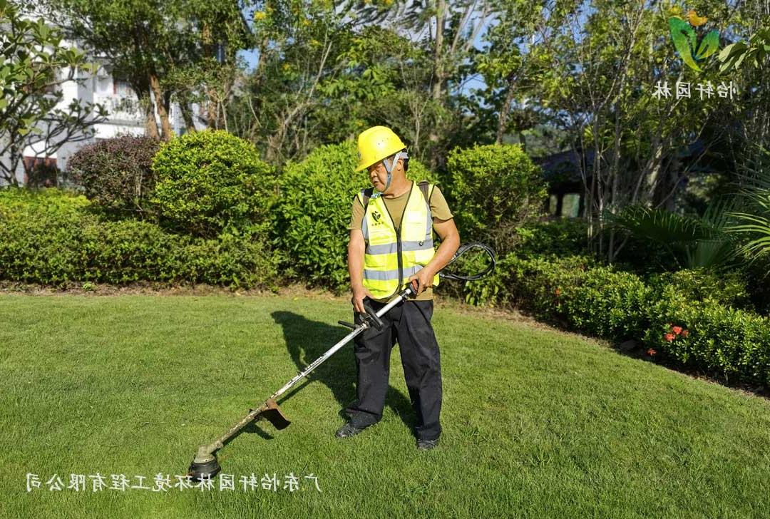 5惠州绿色动力厂区日常养护工作