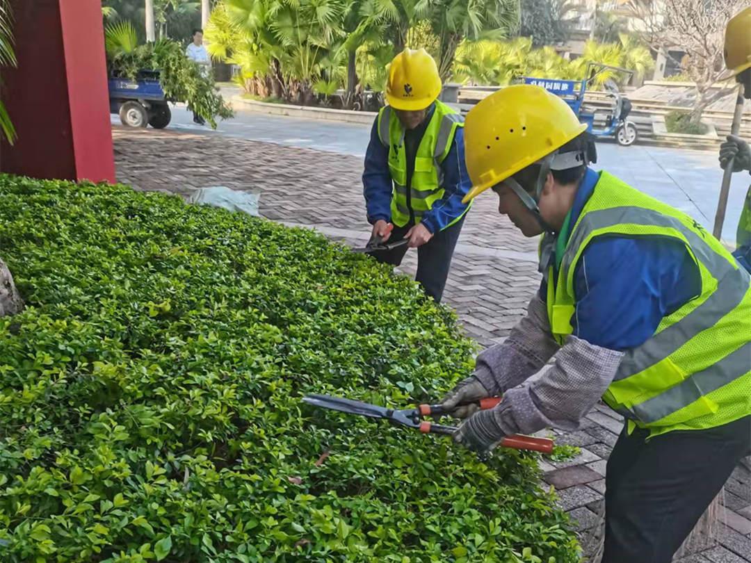 菲律宾网赌合法平台工人修剪灌丛